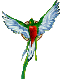 Nuestro pajarito Quetzal